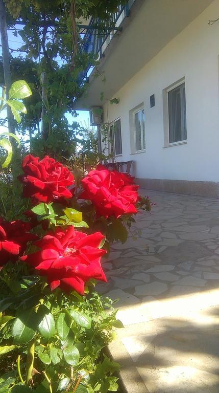 Apartments Nena Лозовац Екстер'єр фото